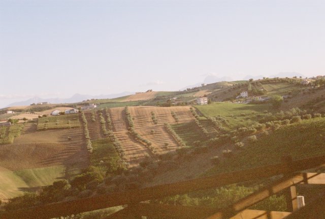 r404923.jpg
