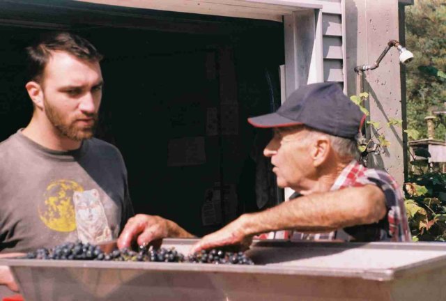 p6.jpg